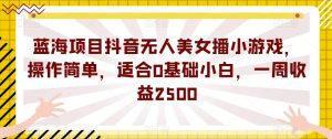 蓝海项目抖音无人美女播小游戏，操作简单，适合0基础小白，一周收益2500【揭秘】-小鸿资源库