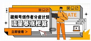 一条视频收益3000+,一条作品涨粉2000+,视频号流量爆炸·的秘籍-小鸿资源库