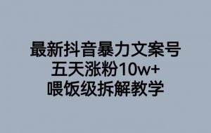 最新抖音暴力文案号，五天涨粉10w+，喂饭级拆解教学-小鸿资源库