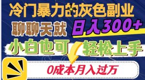 冷门暴利的副业项目，聊聊天就能日入300+，0成本月入过万【揭秘】-小鸿资源库