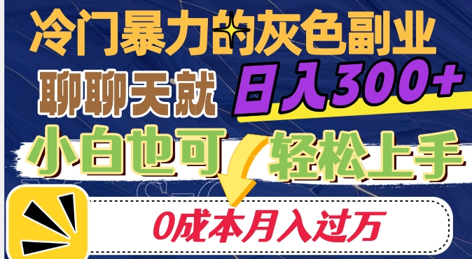 冷门暴利的副业项目，聊聊天就能日入300+，0成本月入过万【揭秘】-小鸿资源库