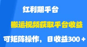 搬运视频获取平台收益，平台红利期，附保姆级教程【揭秘】-小鸿资源库