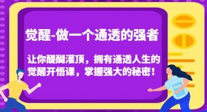 觉醒-做一个通透的强者,让你醍醐灌顶,拥有通透人生的觉醒开悟课,掌握强大的秘密!-小鸿资源库