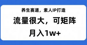养生赛道,素人IP打造,流量很大,可矩阵,月入1w+【揭秘】-小鸿资源库
