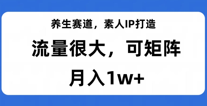 养生赛道，素人IP打造，流量很大，可矩阵，月入1w+【揭秘】-小鸿资源库