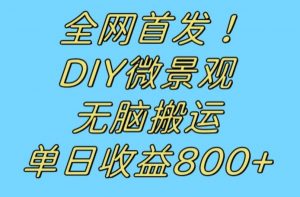 全网首发冷门赛道！DIY微景观，无脑搬运视频，日收益800+【揭秘】-小鸿资源库