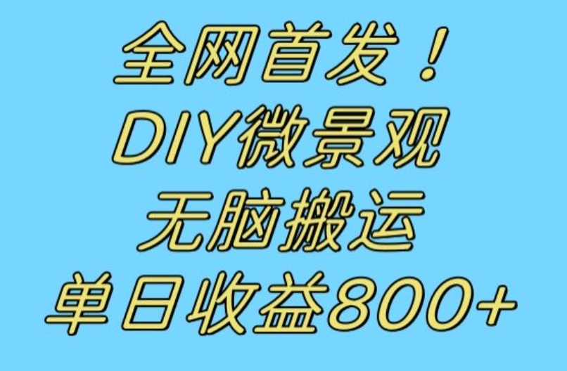 全网首发冷门赛道！DIY微景观，无脑搬运视频，日收益800+【揭秘】-小鸿资源库