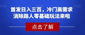 首发日入三百，冷门高需求消除路人零基础玩法来啦【揭秘】-小鸿资源库