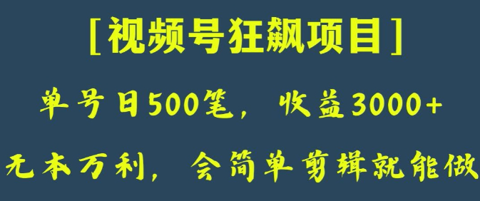 日收款500笔，纯利润3000+，视频号狂飙项目，会简单剪辑就能做【揭秘】-小鸿资源库