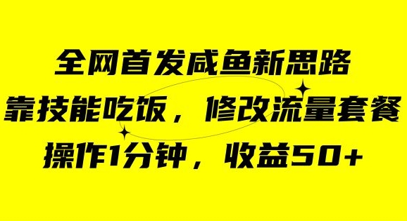 咸鱼冷门新玩法，靠“技能吃饭”，修改流量套餐，操作1分钟，收益50【揭秘】-小鸿资源库