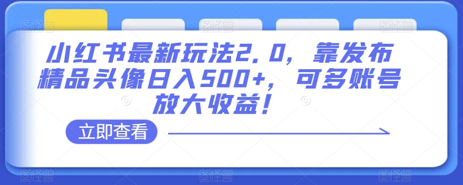 小红书最新玩法2.0，靠发布精品头像日入500+，可多账号放大收益！【揭秘】-小鸿资源库