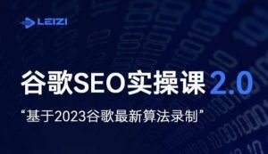 雷子·谷歌SEO 2.0实战课，独立站询盘自由必备，基于2023谷歌最新算法录制-小鸿资源库
