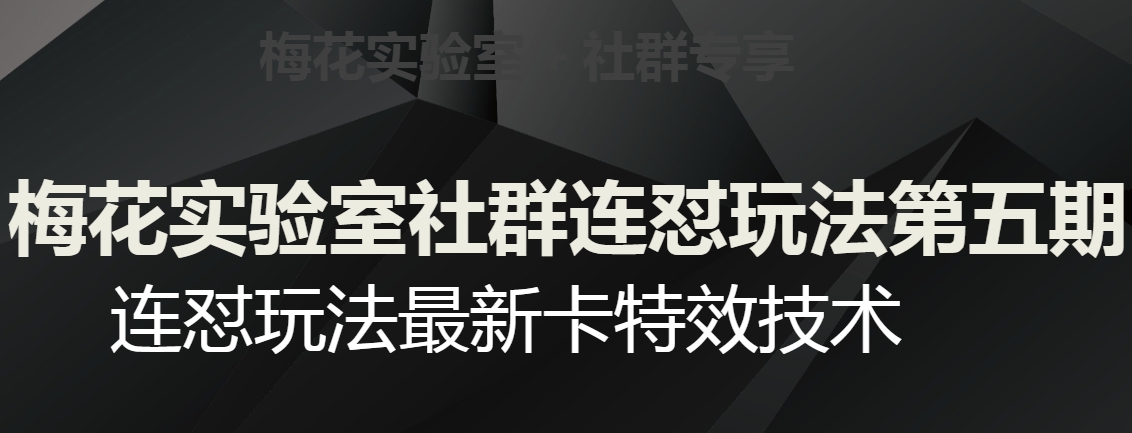 梅花实验室社群连怼玩法第五期，视频号连怼玩法最新卡特效技术-小鸿资源库