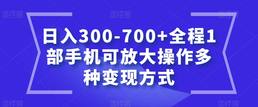 日入300-700+全程1部手机可放大操作多种变现方式【揭秘】-小鸿资源库
