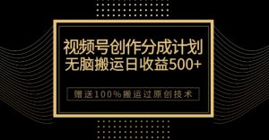 最新视频号创作分成计划，无脑搬运一天收益500+，100%搬运过原创技巧【揭秘】-小鸿资源库
