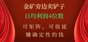 金矿旁边卖铲子，赚确定性的钱，可矩阵，可收徒，日均利润4位数【揭秘】-小鸿资源库