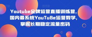 Youtube金牌运营直播训练营，国内最系统YouTuBe运营教学，掌握长期稳定流量密码-小鸿资源库