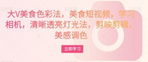 大V美食色彩法，美食短视频，学习相机，清晰透亮灯光法，剪映剪辑，美感调色-小鸿资源库