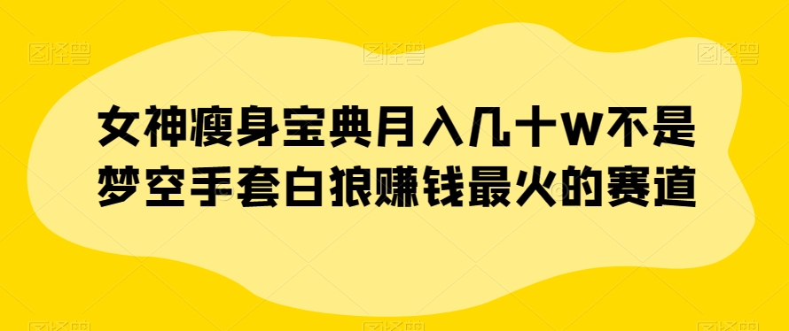 女神瘦身宝典月入几十W不是梦空手套白狼赚钱最火的赛道【揭秘】-小鸿资源库