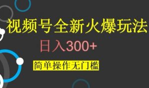 视频号最新爆火玩法，日入300+，简单操作无门槛【揭秘】-小鸿资源库