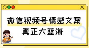 视频号情感文案,真正大蓝海,简单操作,新手小白轻松上手(教程+素材)【揭秘】-小鸿资源库