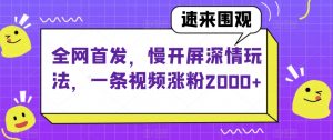 全网首发，慢开屏深情玩法，一条视频涨粉2000+【揭秘】-小鸿资源库