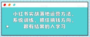 小红书实战落地运营方法，系统训练，抓住搞钱方向，跟有结果的人学习-小鸿资源库