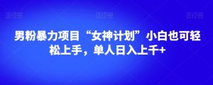 男粉暴力项目“女神计划”小白也可轻松上手，单人日入上千+【揭秘】-小鸿资源库