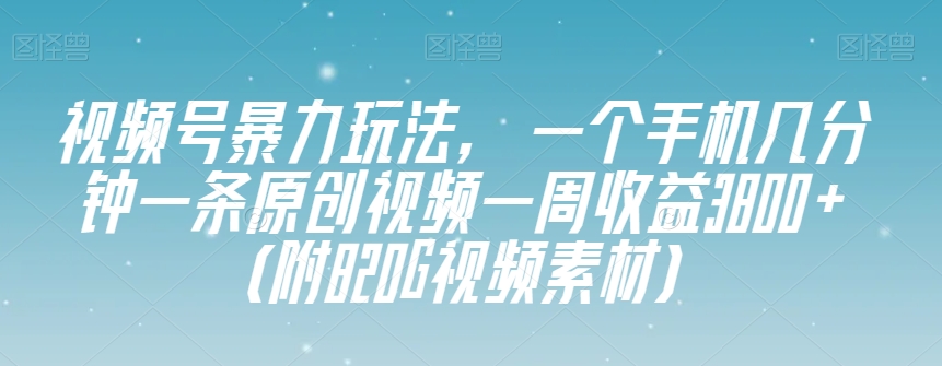 视频号暴力玩法，一个手机几分钟一条原创视频一周收益3800+（附820G视频素材）-小鸿资源库