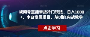 视频号直播带货冷门玩法，日入1000+，小白专属项目，从0到1实战教学【揭秘】-小鸿资源库