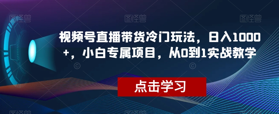 视频号直播带货冷门玩法，日入1000+，小白专属项目，从0到1实战教学【揭秘】-小鸿资源库