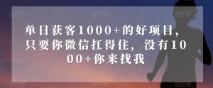 单日获客1000+的好项目，只要你微信扛得住，没有1000+你来找我【揭秘】-小鸿资源库