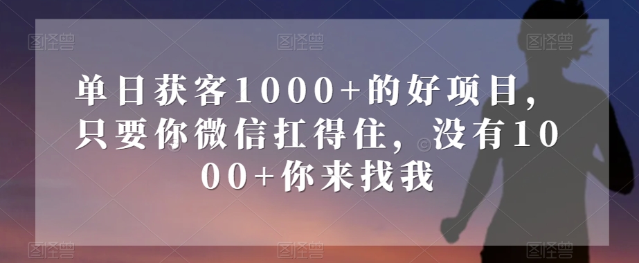 单日获客1000+的好项目，只要你微信扛得住，没有1000+你来找我【揭秘】-小鸿资源库