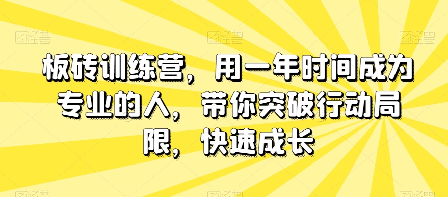 板砖训练营，用一年时间成为专业的人，带你突破行动局限，快速成长-小鸿资源库