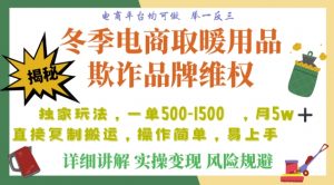 利用电商平台冬季销售取暖用品欺诈行为合理制裁店铺，单日入900+【仅揭秘】-小鸿资源库