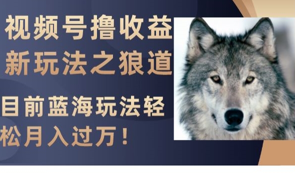 视频号撸收益新玩法之狼道，目前蓝海玩法，轻松月入过万【揭秘】-小鸿资源库