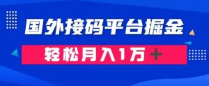 通过国外接码平台掘金：成本1.3，利润10＋，轻松月入1万＋【揭秘】-小鸿资源库