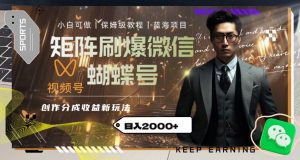 矩阵刷爆微信蝴蝶号创作者分成计划收益的新玩法，日入2000+【揭秘】-小鸿资源库