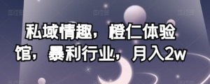 私域情趣，橙仁体验馆，暴利行业，月入2w【揭秘】-小鸿资源库