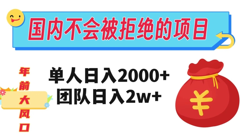 在国内不怕被拒绝的项目，单人日入2000，团队日入20000+【揭秘】-小鸿资源库