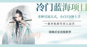 冷门蓝海项目，操作简单，小白3分钟上手，多种引流方式，保姆式全流程教学【揭秘】-小鸿资源库