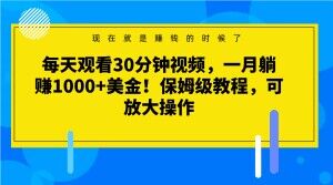 每天观看30分钟视频，一月躺赚1000+美金！保姆级教程，可放大操作【揭秘】-小鸿资源库