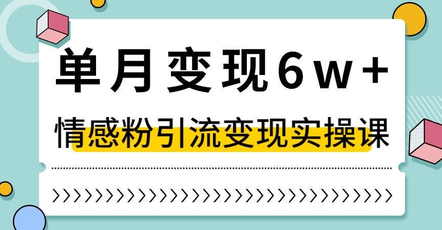 单月变现6W+，抖音情感粉引流变现实操课，小白可做，轻松上手，独家赛道【揭秘】-小鸿资源库