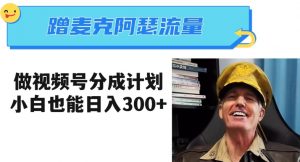 蹭麦克阿瑟热点，做视频号分成计划，小白三分钟一条日入300+【揭秘】-小鸿资源库