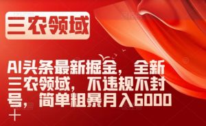 AI头条最新掘金，全新三农领域，不违规不封号，简单粗暴月入6000＋【揭秘】-小鸿资源库