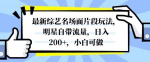 最新综艺名场面片段玩法，明星自带流量，日入200+，小白可做【揭秘】-小鸿资源库