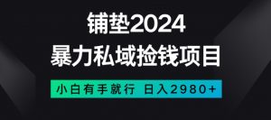 暴力私域捡钱项目，小白无脑操作，日入2980【揭秘】-小鸿资源库