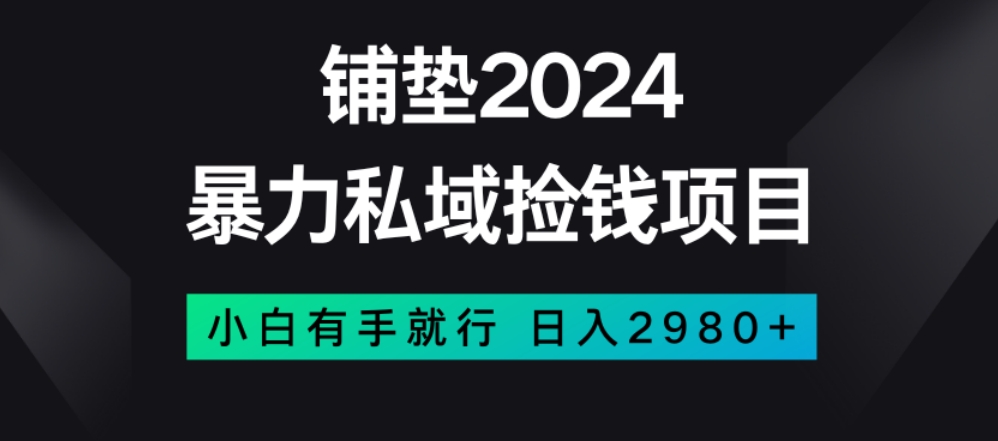 暴力私域捡钱项目，小白无脑操作，日入2980【揭秘】-小鸿资源库