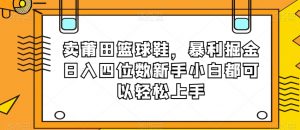 卖莆田篮球鞋，暴利掘金日入四位数新手小白都可以轻松上手【揭秘】-小鸿资源库