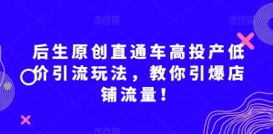 后生原创直通车高投产低价引流玩法，教你引爆店铺流量！-小鸿资源库